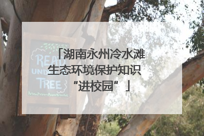 湖南永州冷水滩生态环境保护知识“进校园”